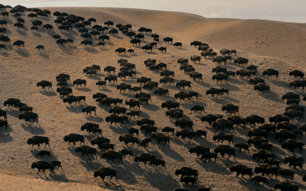 ‘It’s Just the Beginning’: Directors of New Lily Gladstone-Narrated Doc Discuss&nbsp;Project