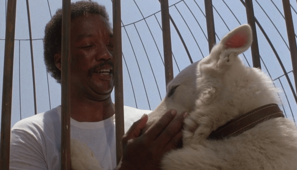 The Thoughtful Pessimism of ‘White Dog’